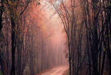 U17亚洲杯预选赛中国U16男足.