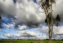 你认可吗❓梅西排名薯片口味:原味永远的神,青柠味惨遭垫底.