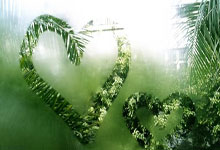 [图]英超-阿玛德救主 利物浦2-2曼联6分领跑积分榜.